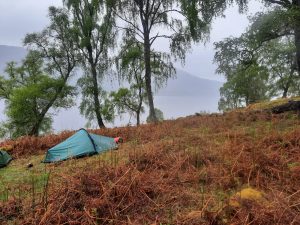 broze/sliver/gold - award- dofe